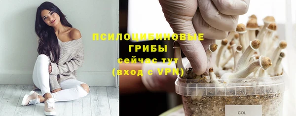 Альфа ПВП Алексин