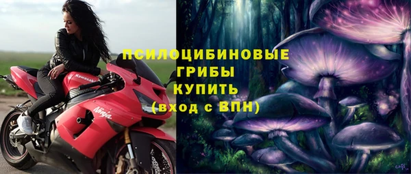 Альфа ПВП Алексин